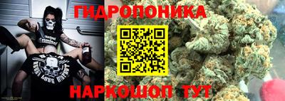 хмурый Малоярославец