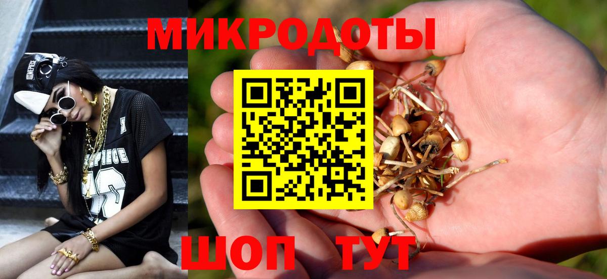 Галлюциногенные грибы Cubensis  Вход с VPN  Еманжелинск 